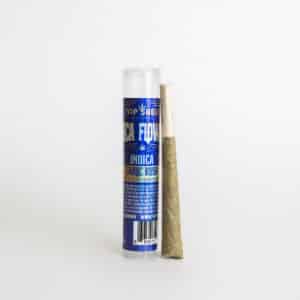 A Garlic Kush- Pre-Roll - Indica - Top Shelf - 1g stands next to its cylindrical container on a white background.